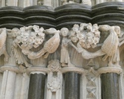 2020_DM_Others_P1010908