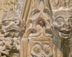 2020_DM_Others_P1010919
